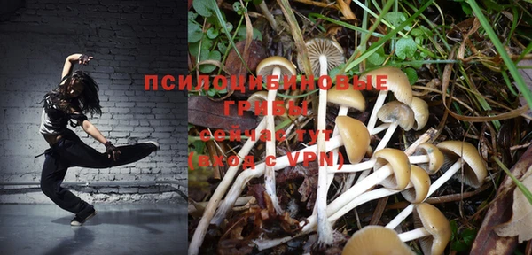соль курить ск Елабуга