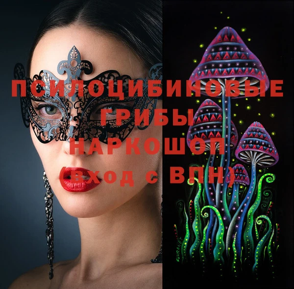 марки lsd Ельня