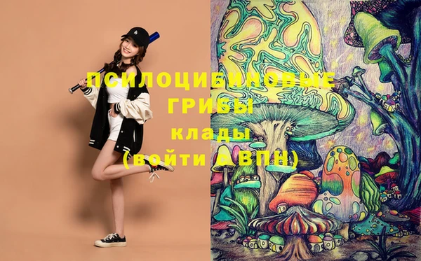 таблы Елизово