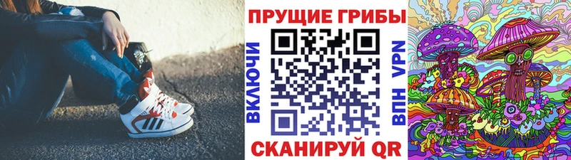 Купить где  Крымск  Галлюциногенные грибы Psilocybine cubensis 