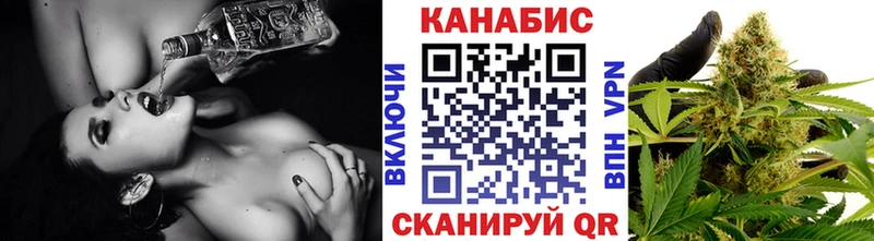 Купить где  Крымск  Канабис сатива 
